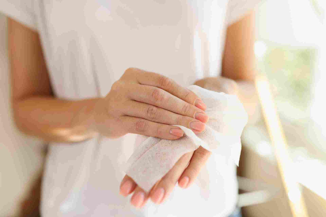 Bestwipes Premium: Salviette Disinfettanti Pre-Imbevute