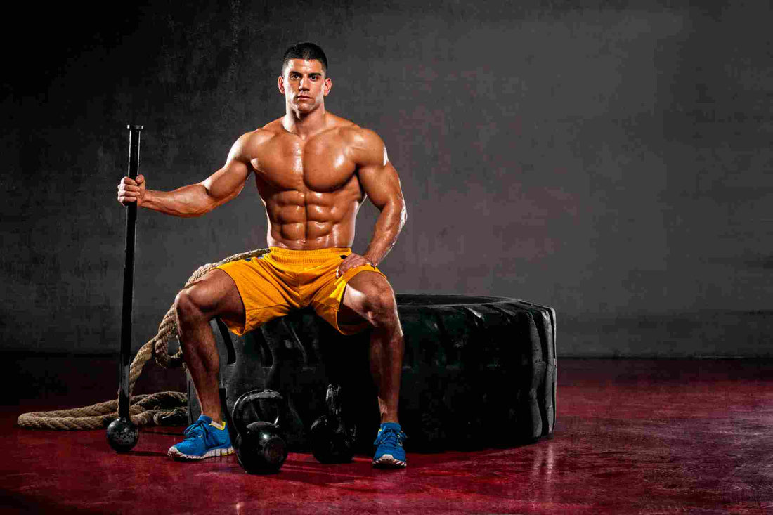 Hammer Crossfit: funzioni, vantaggi e costi