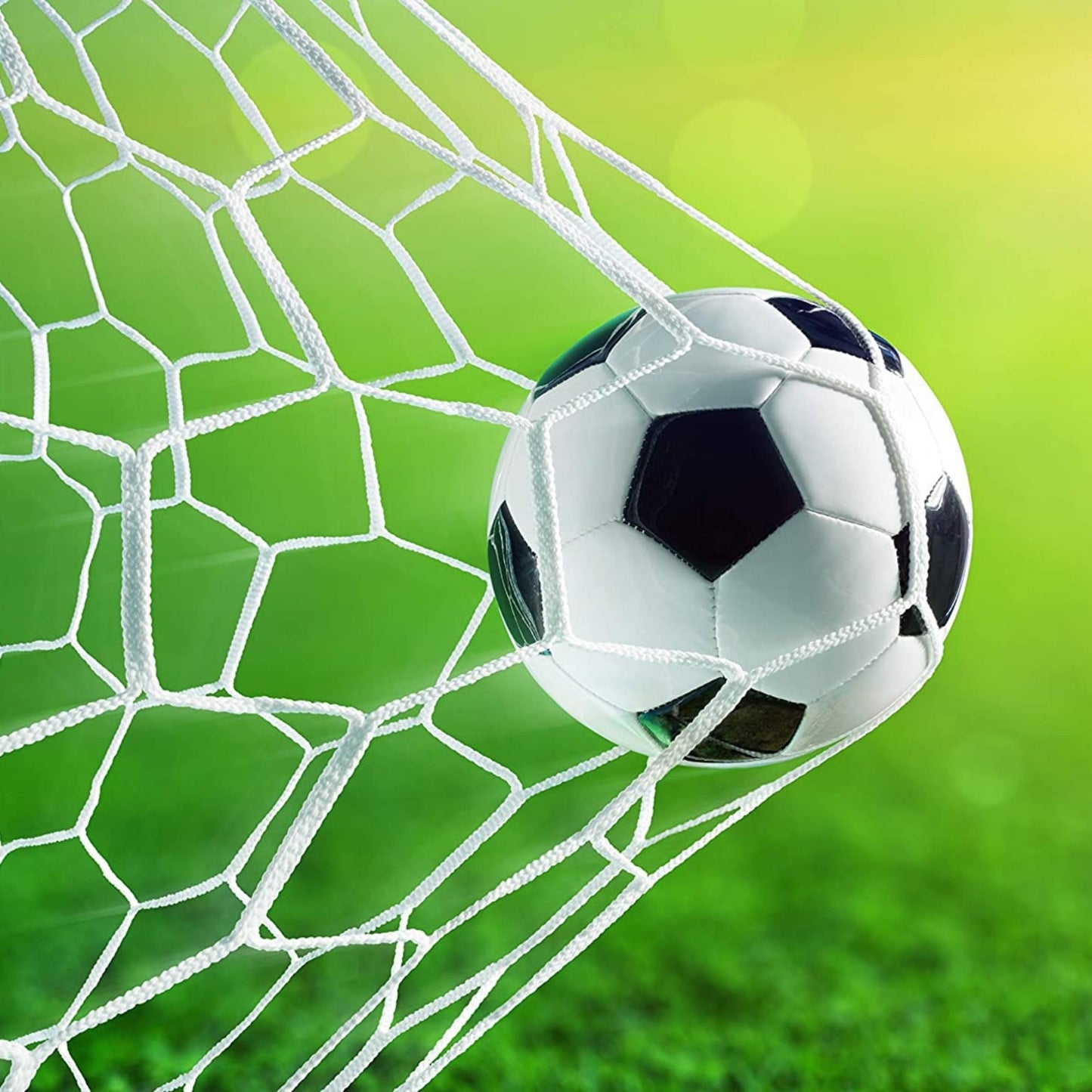 Coppia Reti Calcio a 7 o Calciotto (5x2)