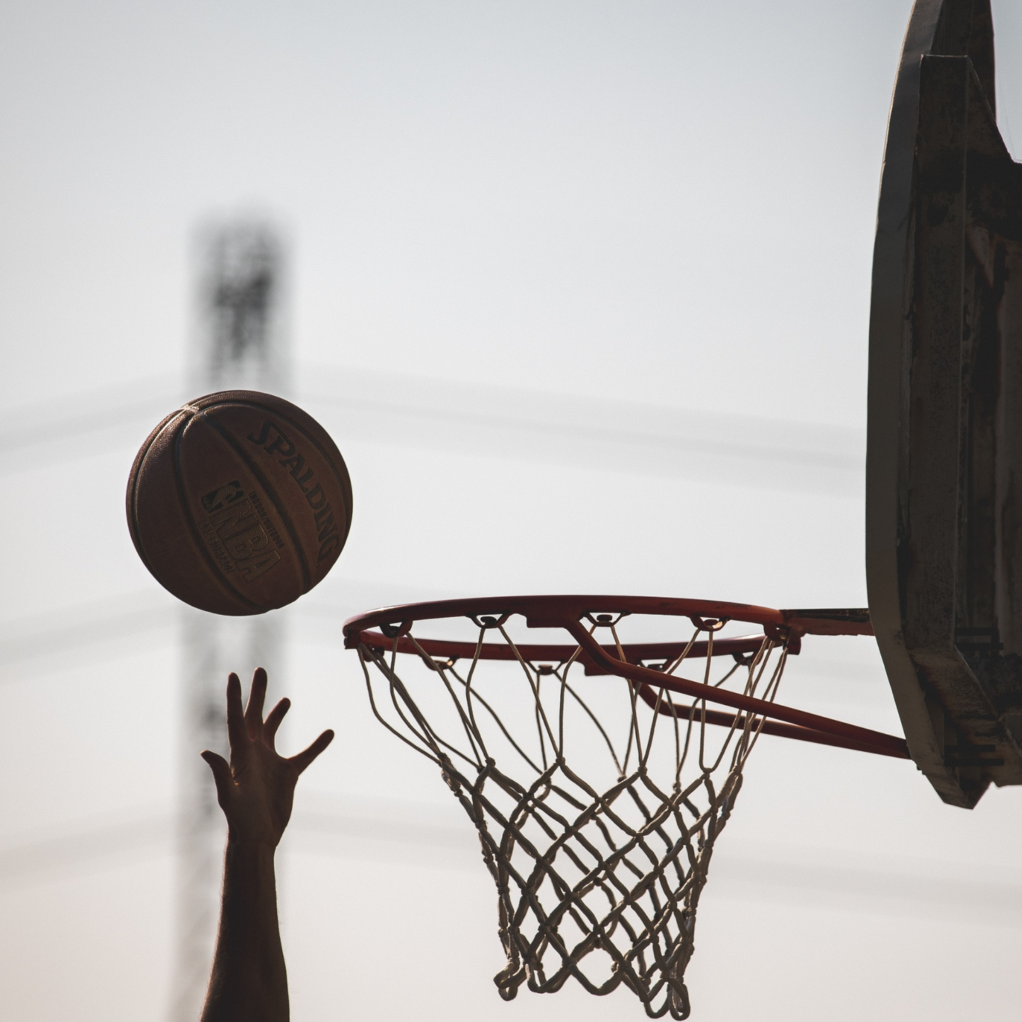 Set Basket Trasportabile - Singolo