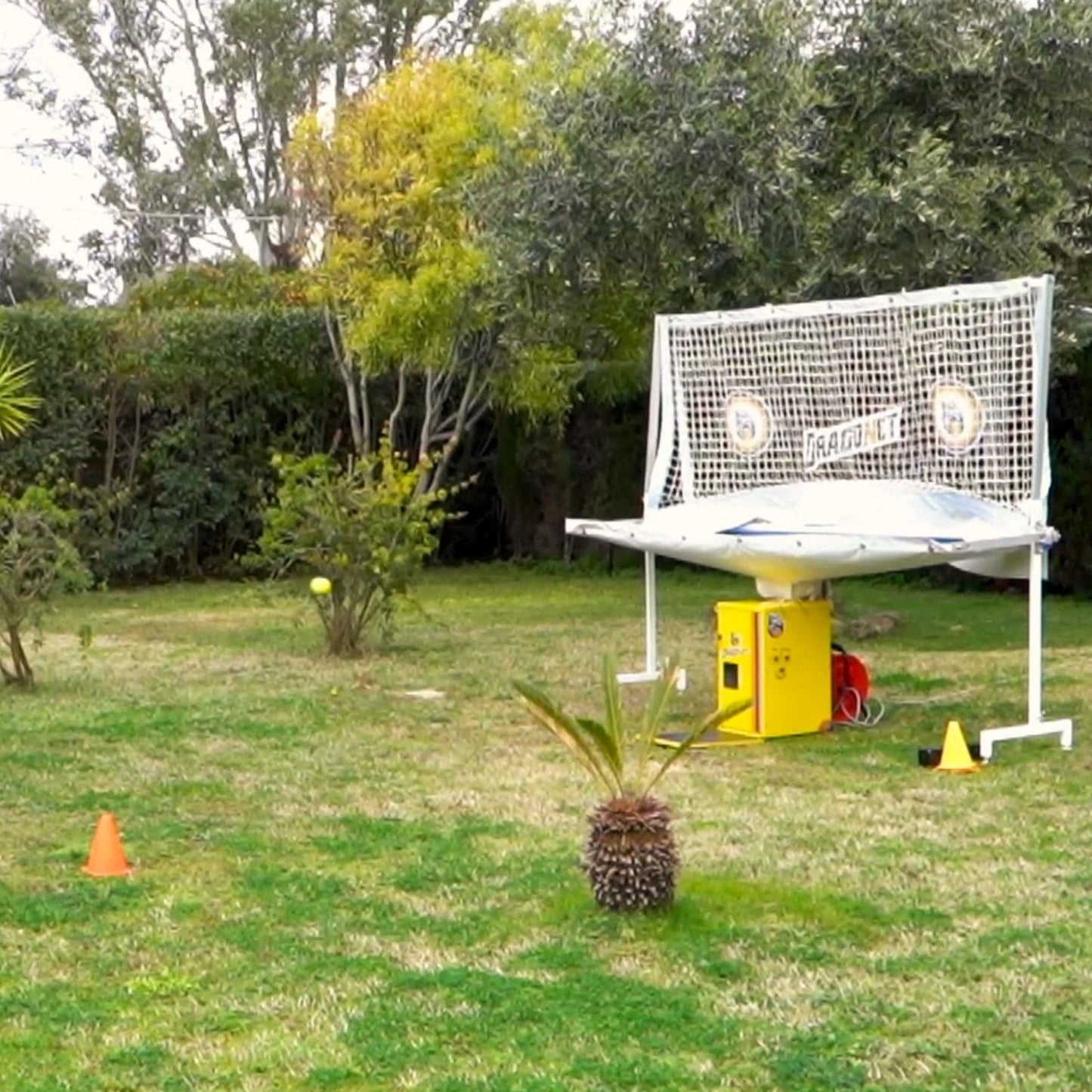 Robot Lancia Palline da Padel Automatico Dragonet Starter