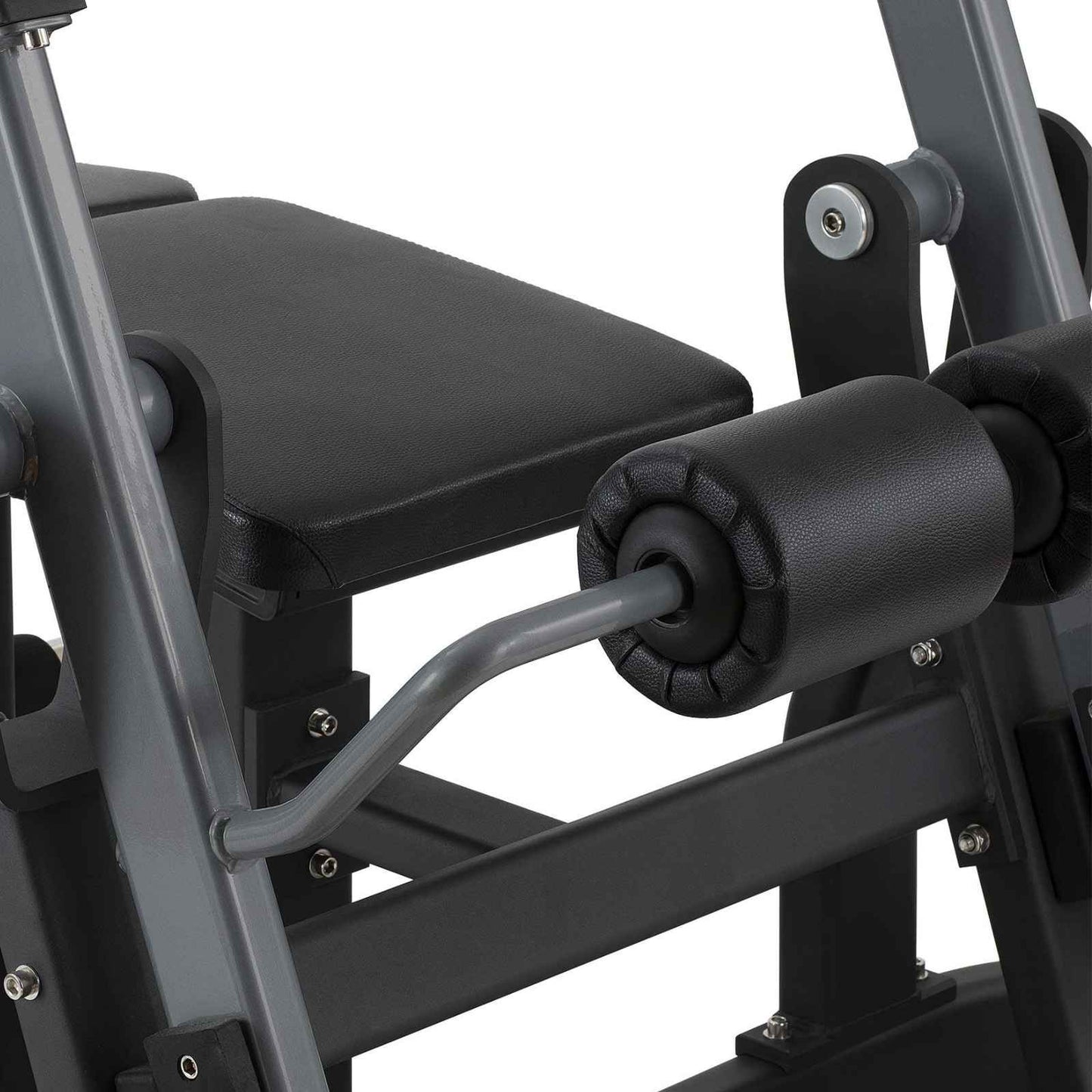 Leg Curl - Plate Loaded